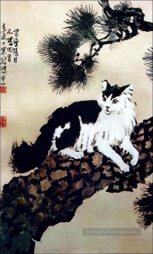  hat - XU Beihong chat sur l’encre de Chine vieux arbre